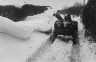 01. Collecting milk, December 1962.