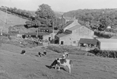 01. Lane Head and Millhouses in the 1950s