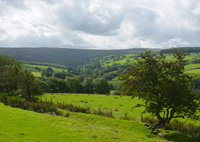 Hindburndale