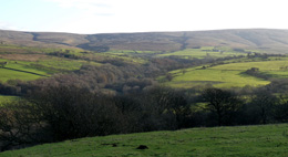 Hindburndale