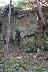Baines Park quarry face