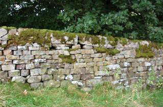 Quarried stone wall on a slope, culvert bridge, Hollinhurst near Lowgill.